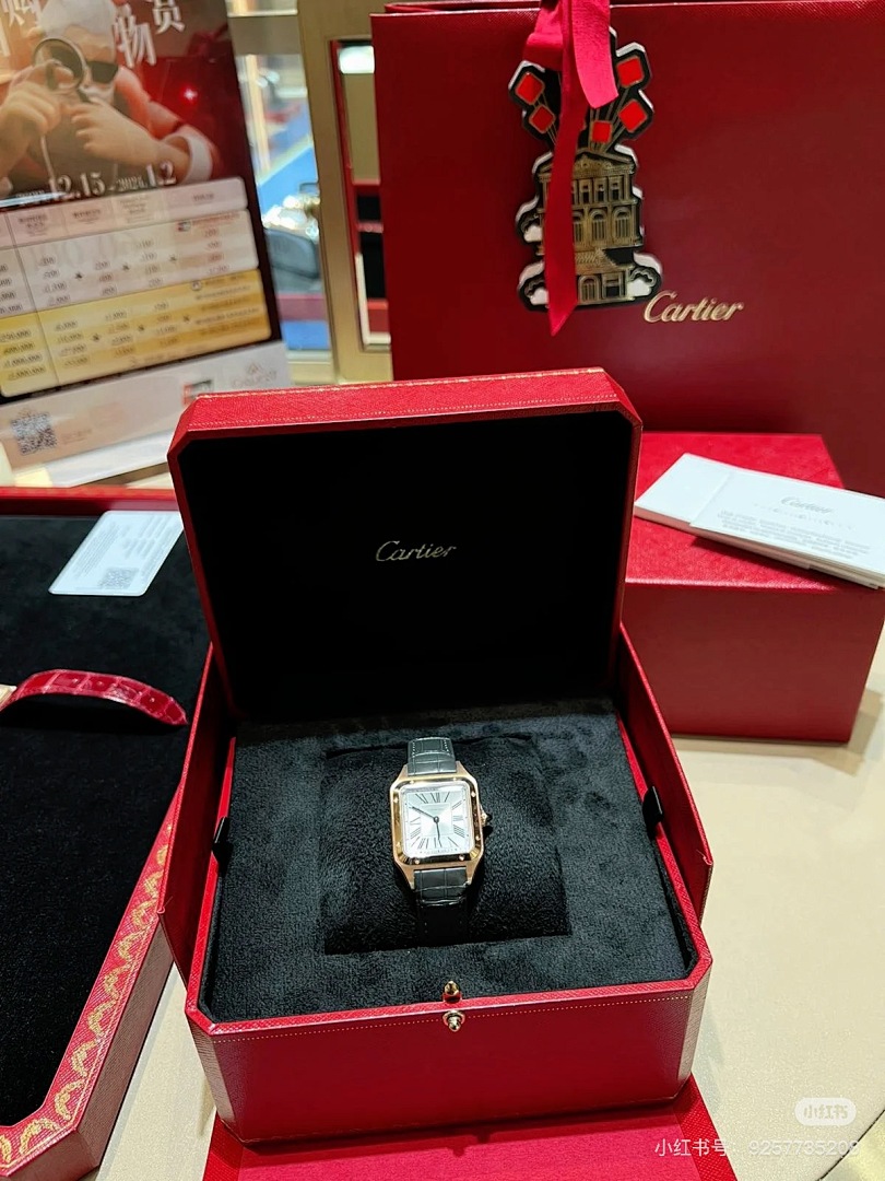Cartier Santos-Dumont · 6083 — תמונה 13