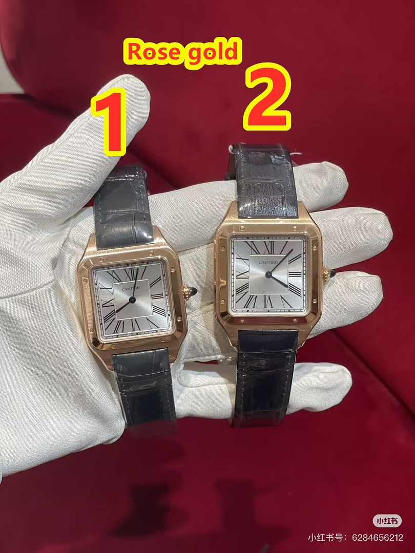 Cartier Santos-Dumont · 6382