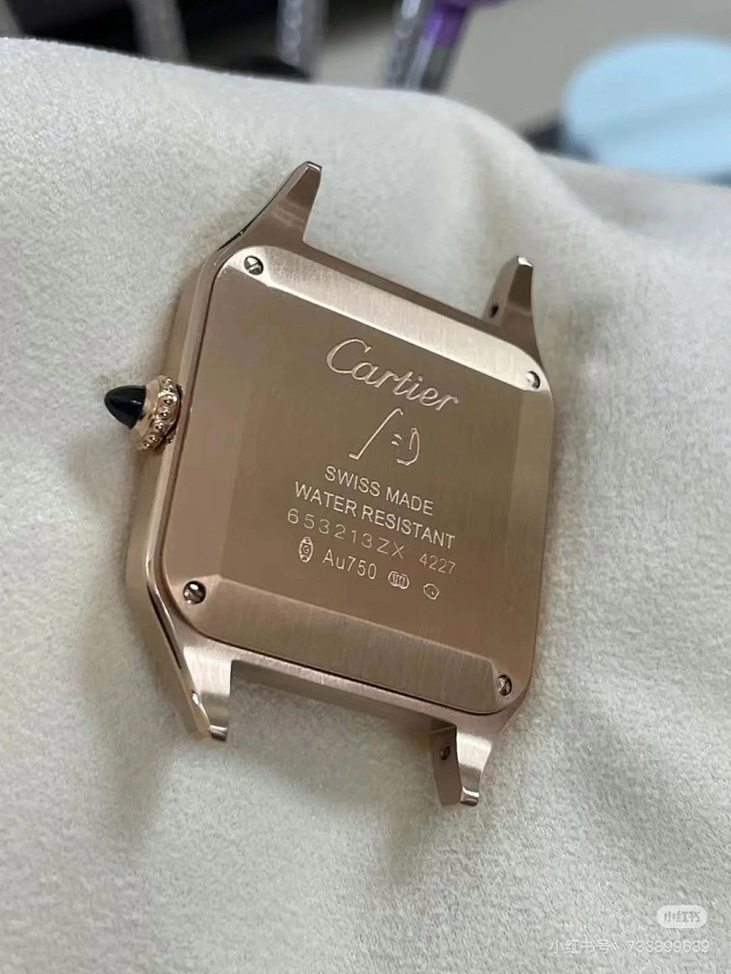 Cartier Santos-Dumont · 6083 — תמונה 7