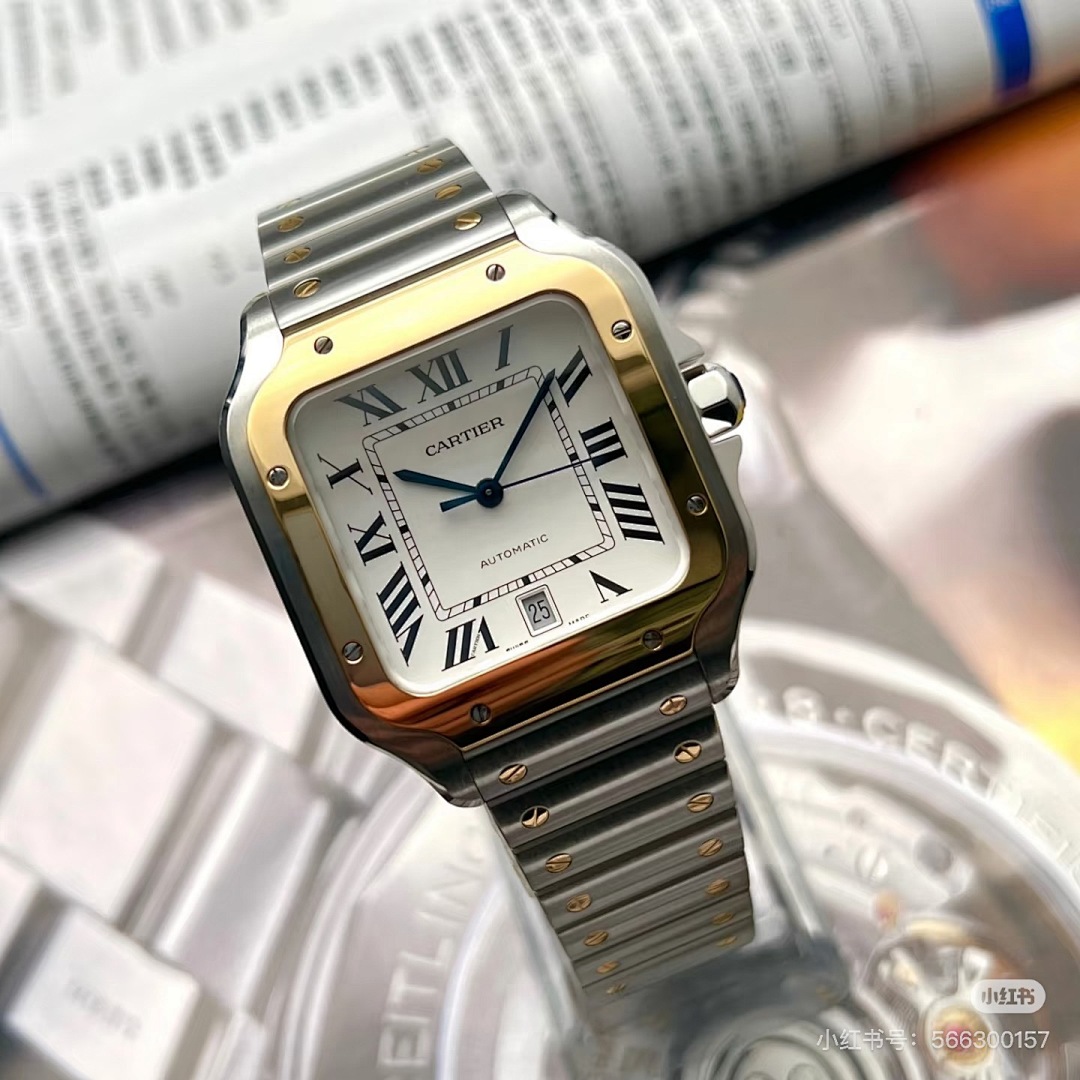 Santos de Cartier · 6097 — תמונה 19