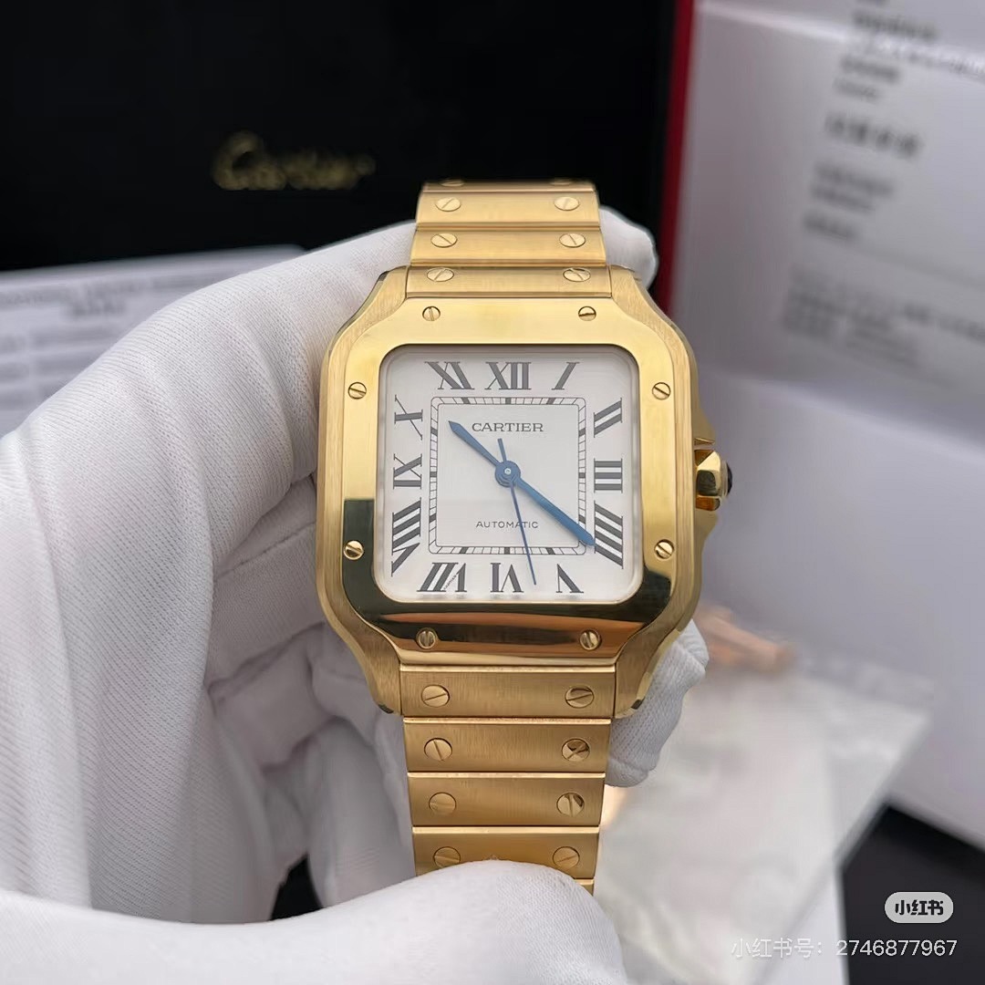 Santos de Cartier · 5885 — תמונה 11
