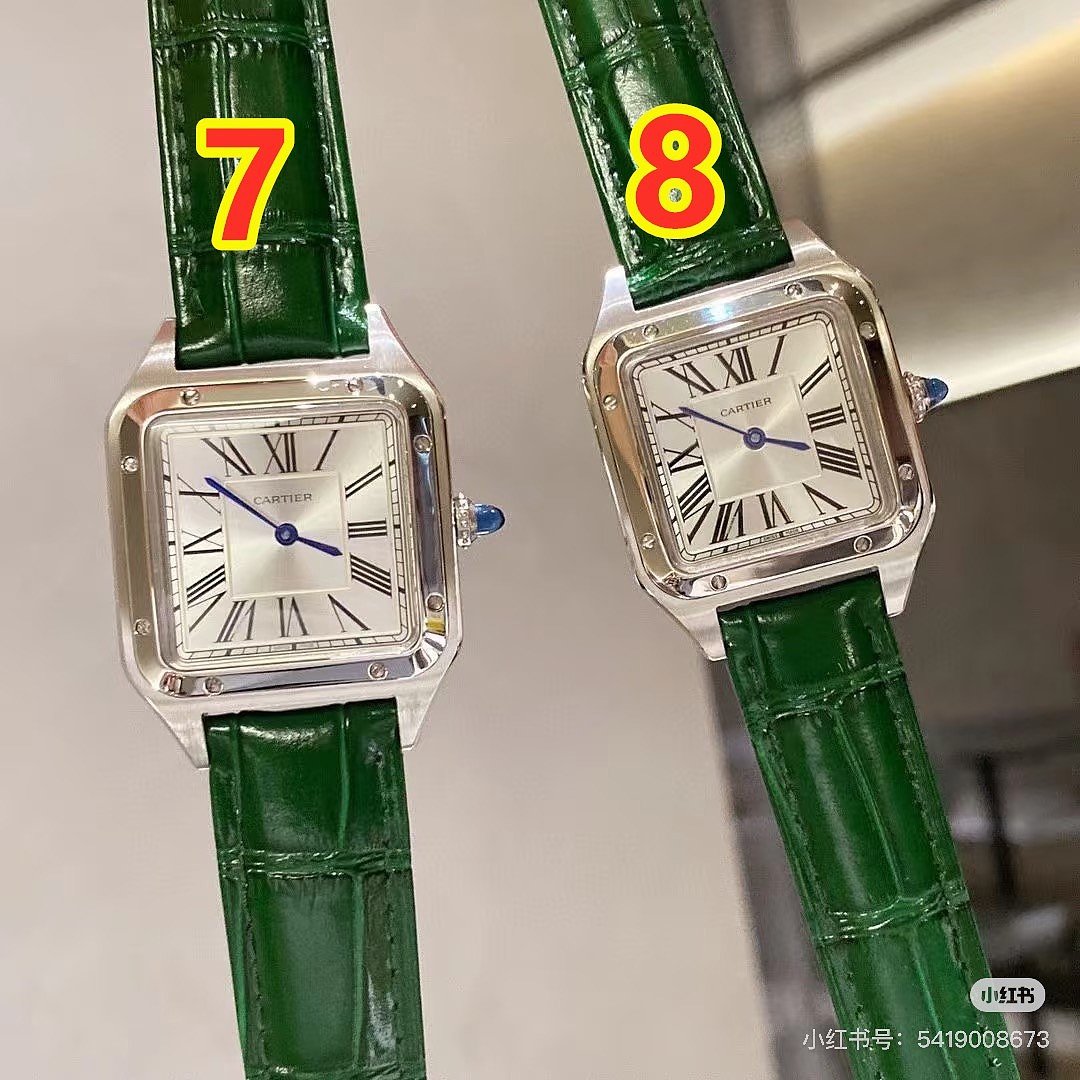 Cartier Santos-Dumont · 6369 — תמונה 5