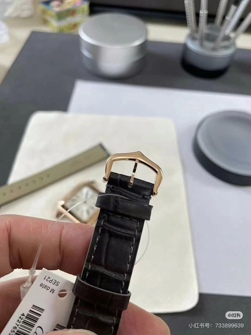 Cartier Santos-Dumont · 6083 — תמונה 3
