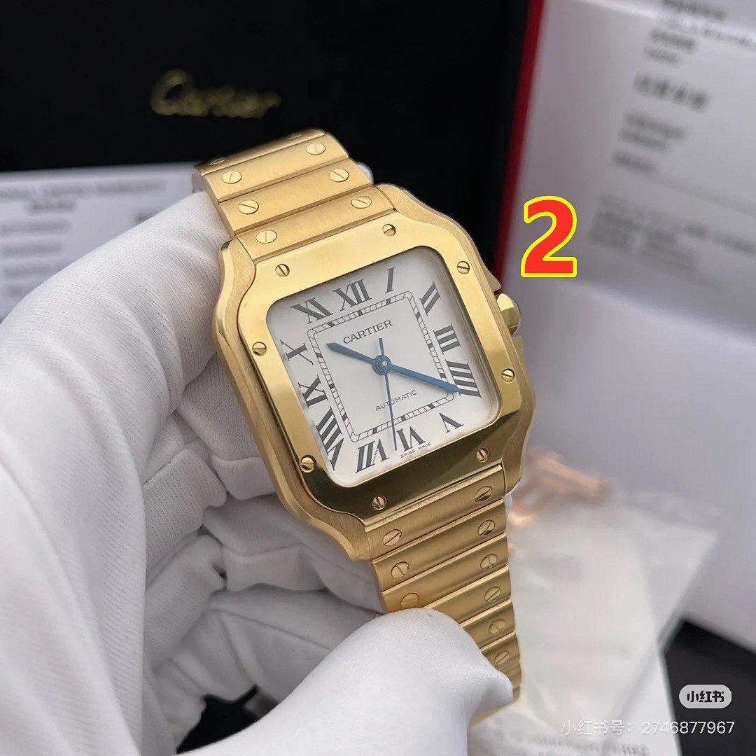 Santos de Cartier · 6097 — תמונה 6