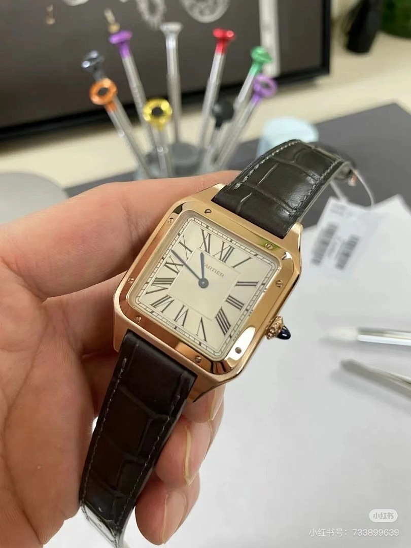 Cartier Santos-Dumont · 6083 — תמונה 9