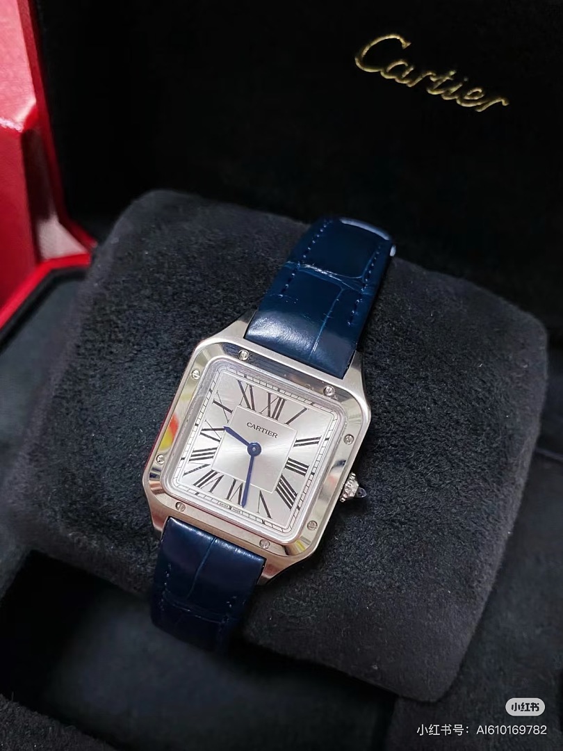 Cartier Santos-Dumont · 6369