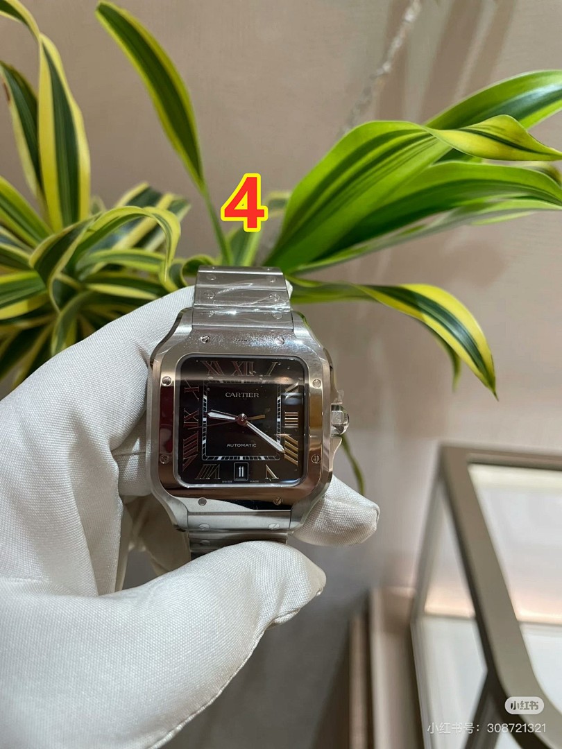 Santos de Cartier · 6097 — תמונה 8