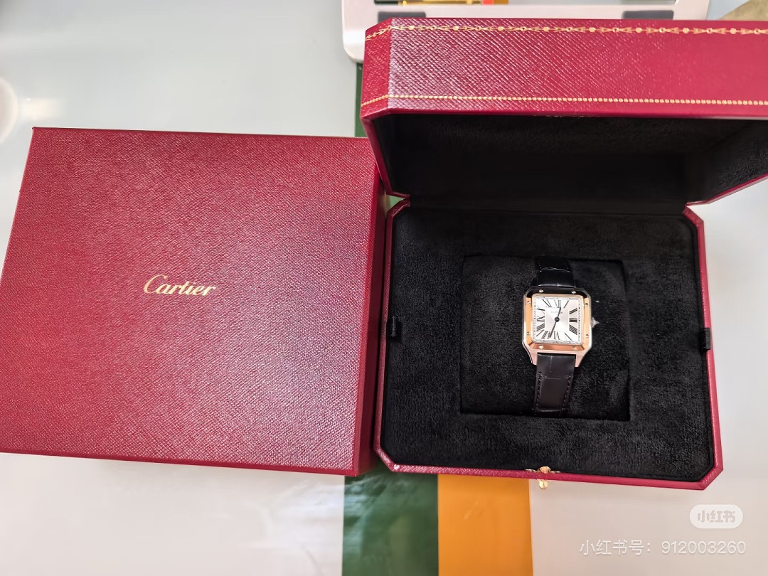 Cartier Santos-Dumont · 6382 — תמונה 8