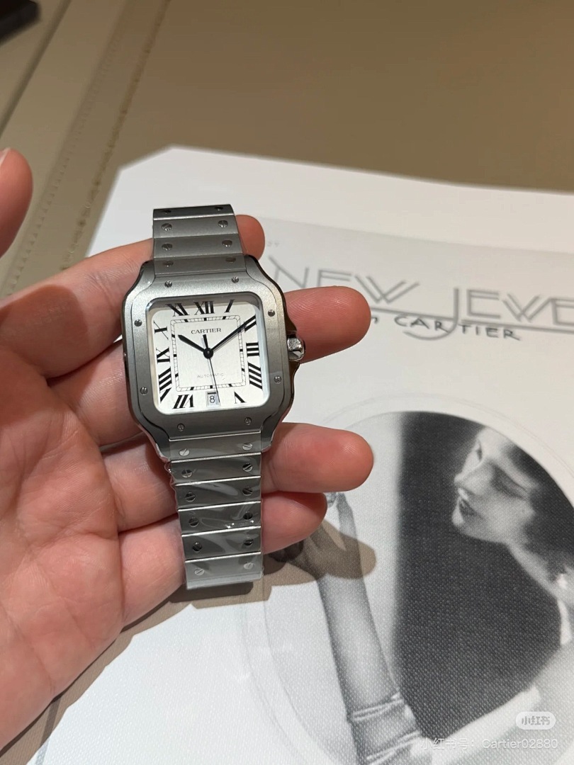 Santos de Cartier · 6097 — תמונה 39
