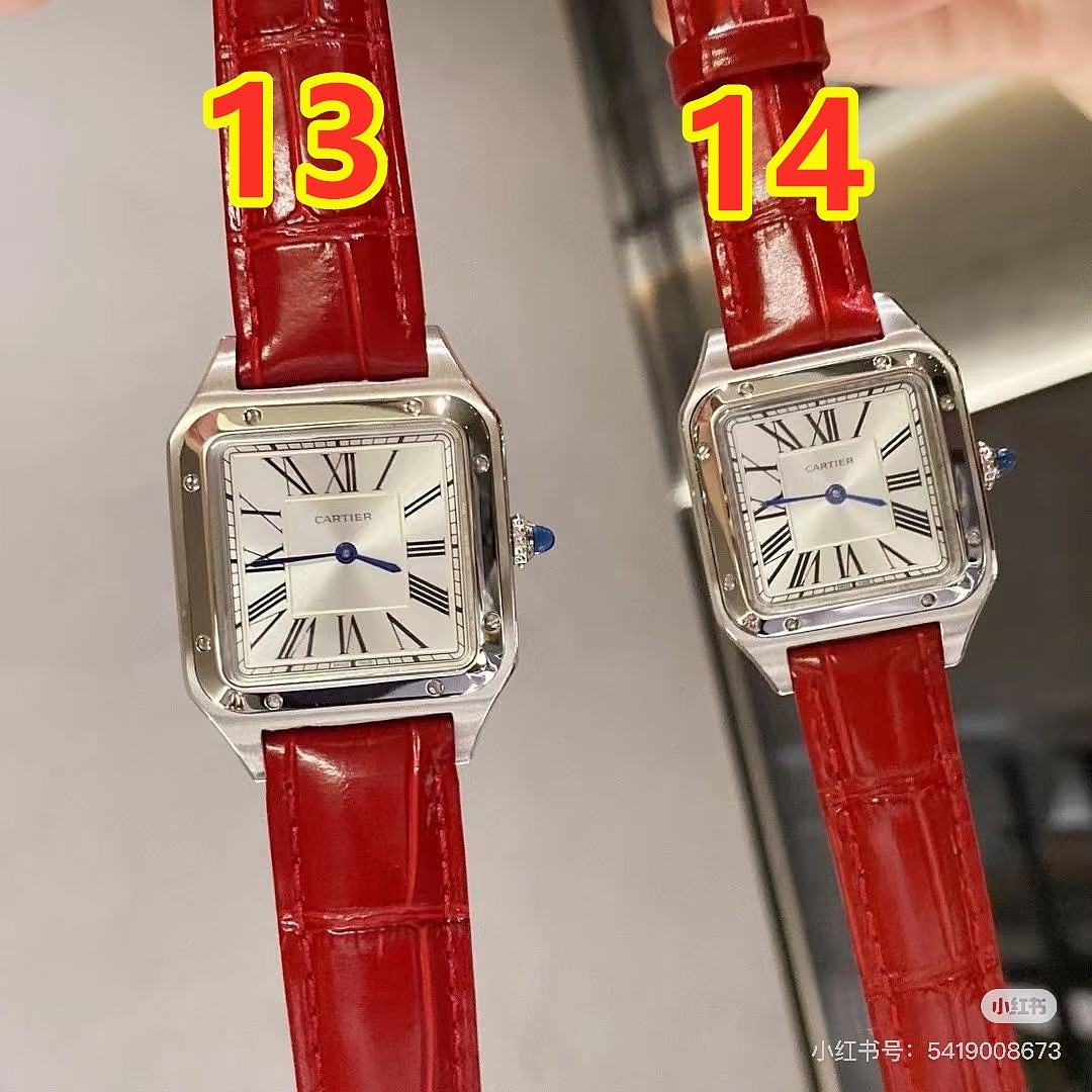 Cartier Santos-Dumont · 6369 — תמונה 8