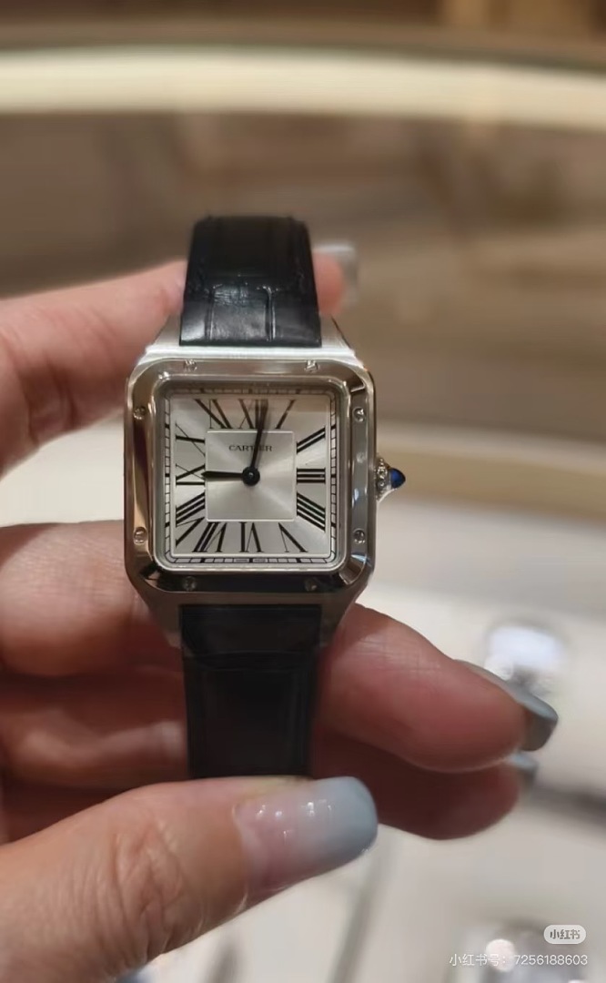 Cartier Santos-Dumont · 6382 — תמונה 7