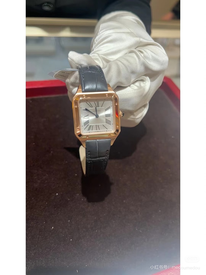 Cartier Santos-Dumont · 6382 — תמונה 14