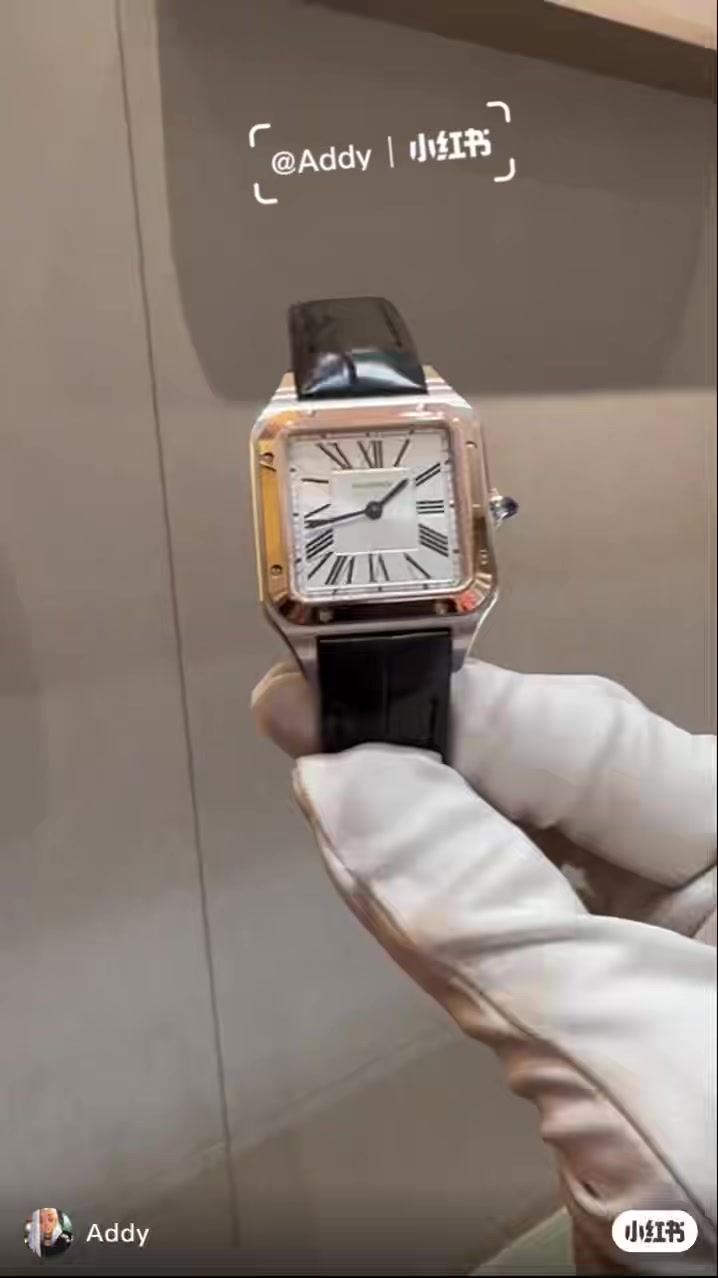 Cartier Santos-Dumont · 6382 — תמונה 2