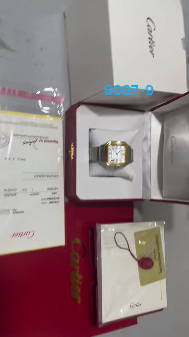 Santos de Cartier · 6097 — תמונה 3