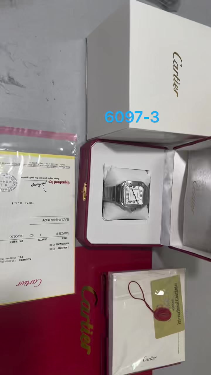 Santos de Cartier · 6097 — תמונה 2