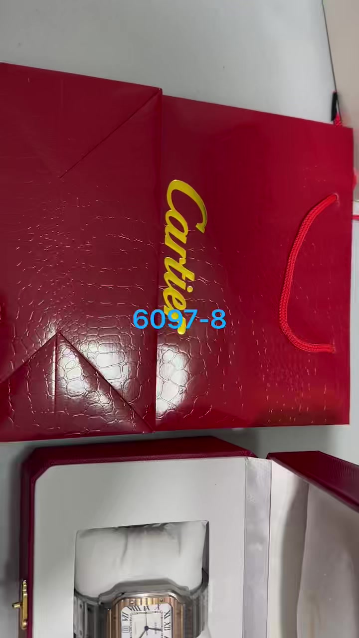 Santos de Cartier · 6097 — תמונה 4