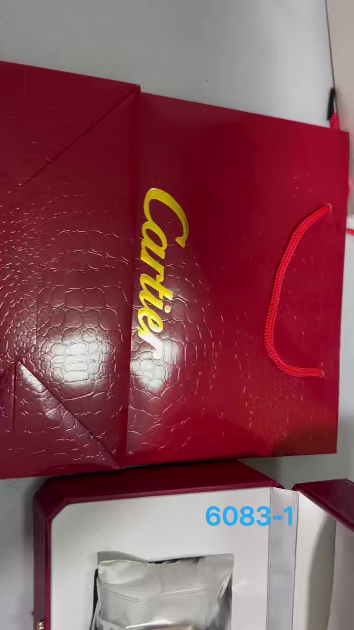 Cartier Santos-Dumont · 6083 — תמונה 2