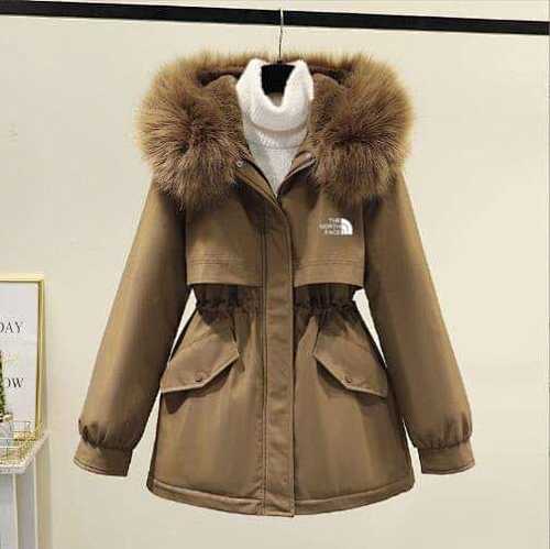 TNF 42.17$   1688-10424-T