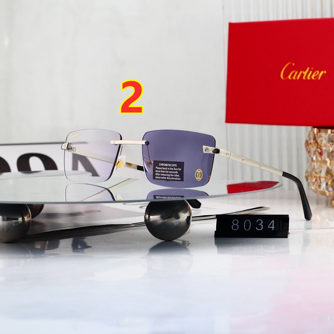 Cartier Sunglasses with Elongated C de · 6256 — תמונה 9