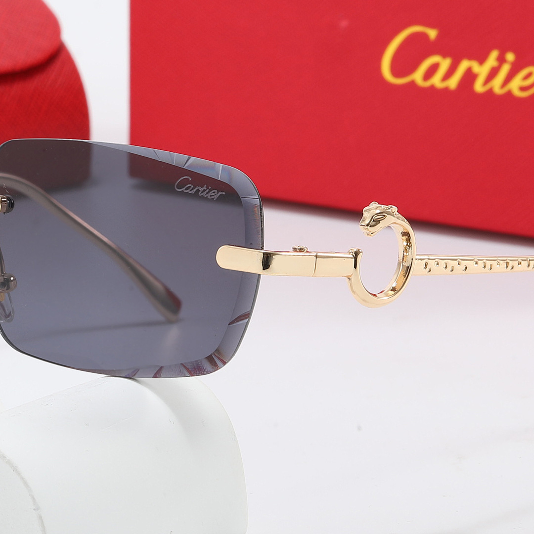 Cartier — משקפי ראייה · 5266 — תמונה 9