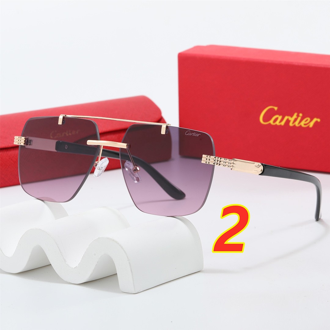 Santos de Cartier · 5265 — תמונה 10