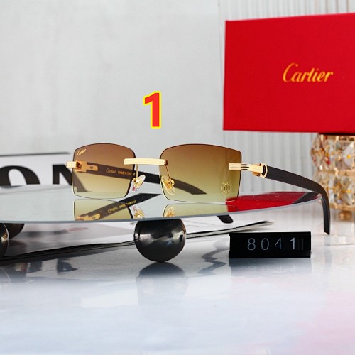 Cartier CT0582S · 6253