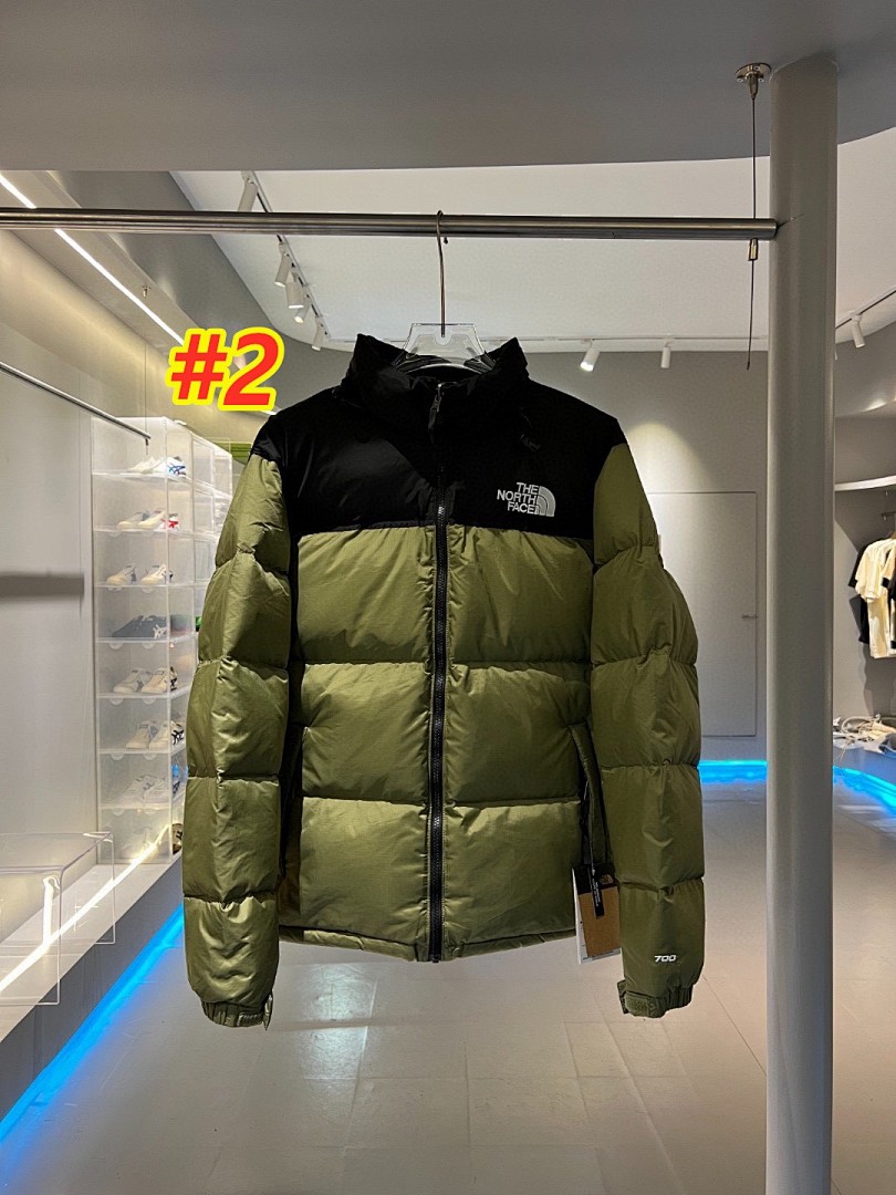 The North Face 1996 Retro Nuptse Jacket · 4738 — תמונה 8