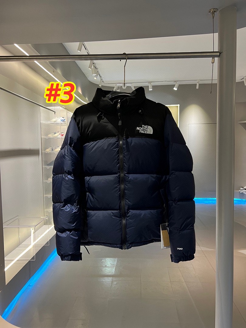 The North Face 1996 Retro Nuptse Jacket · 4738 — תמונה 9