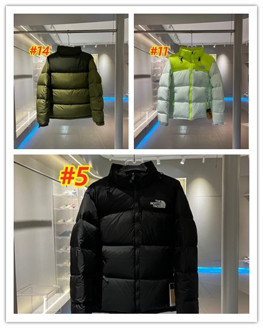 The North Face 1996 Retro Nuptse Jacket · 4738 — תמונה 6