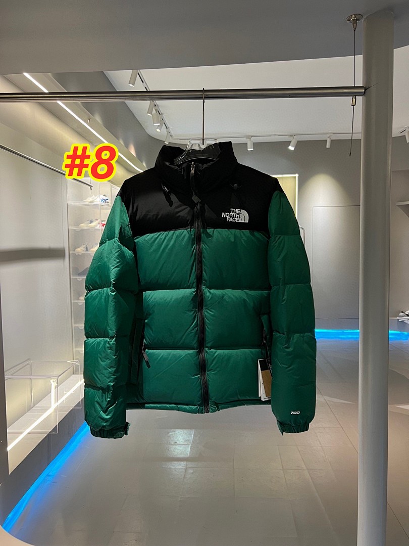 The North Face 1996 Retro Nuptse Jacket · 4738 — תמונה 14