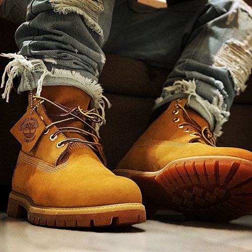 8537-T   Timberland    $54.94