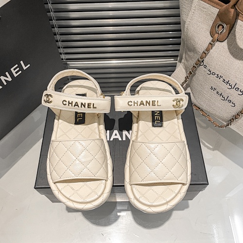 CHANEL 51.79$  CODE 449-10116-T