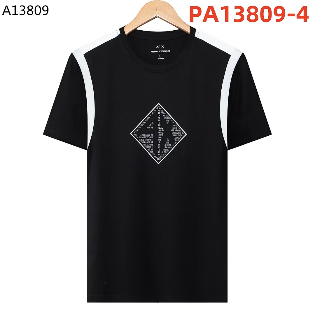 armani PA13809