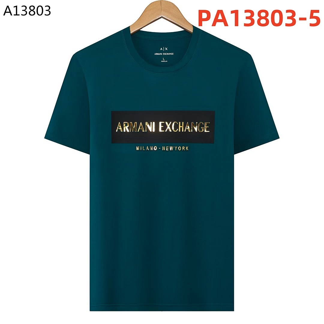 armani PA13803