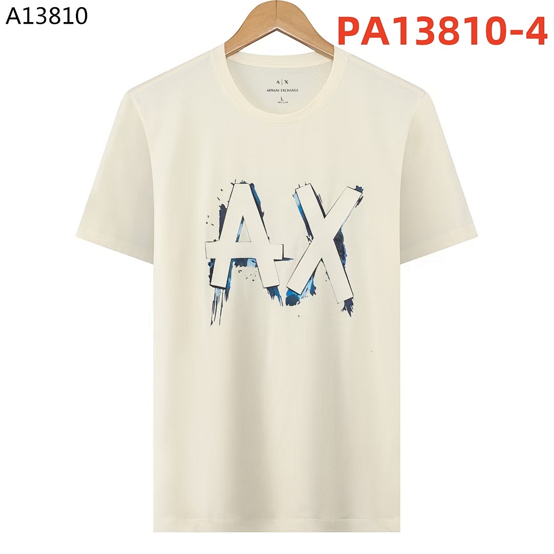 armani PA13810