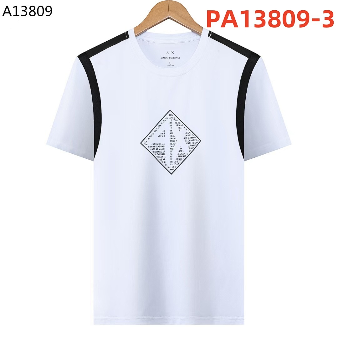 armani PA13809
