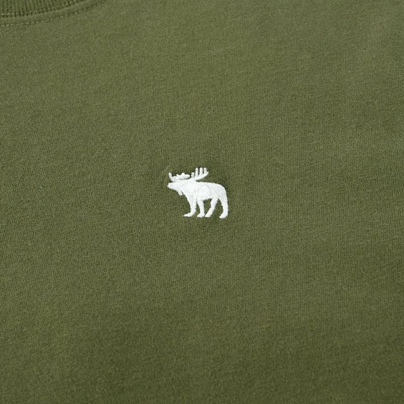 Abercrombie & Fitch Signature Icon Tee · A2435 — תמונה 41
