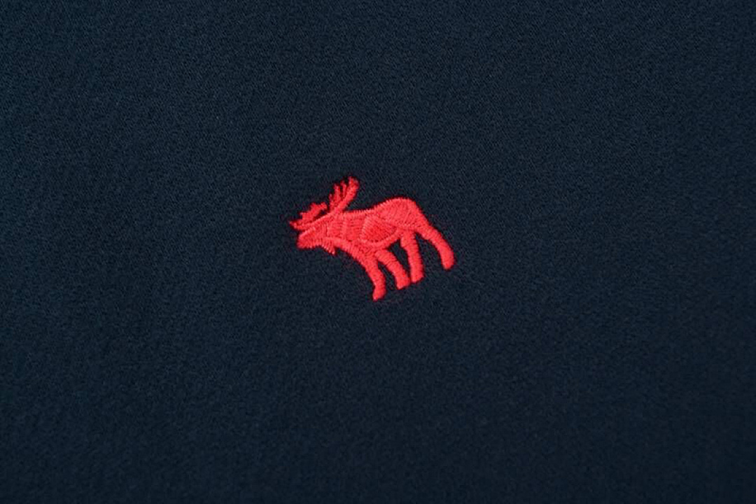 Abercrombie & Fitch Logo Popover Hoodie · A2830 — תמונה 31