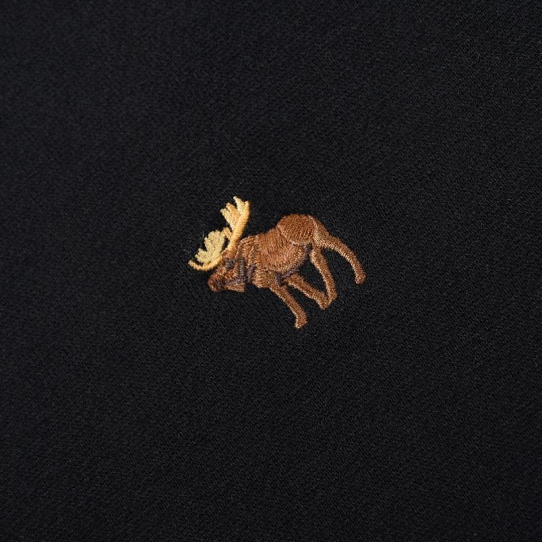Abercrombie & Fitch Logo Popover Hoodie · A2830 — תמונה 23