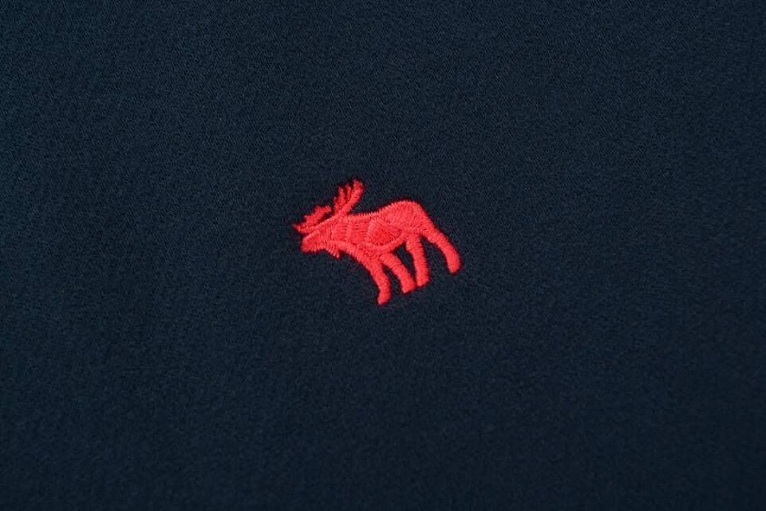 Abercrombie & Fitch Logo Popover Hoodie · A2830 — תמונה 17