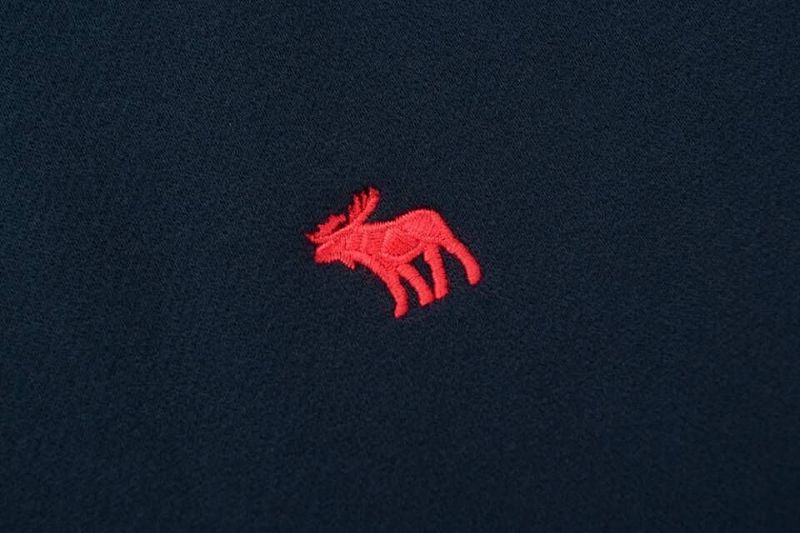 Abercrombie & Fitch Logo Popover Hoodie · A2830 — תמונה 18