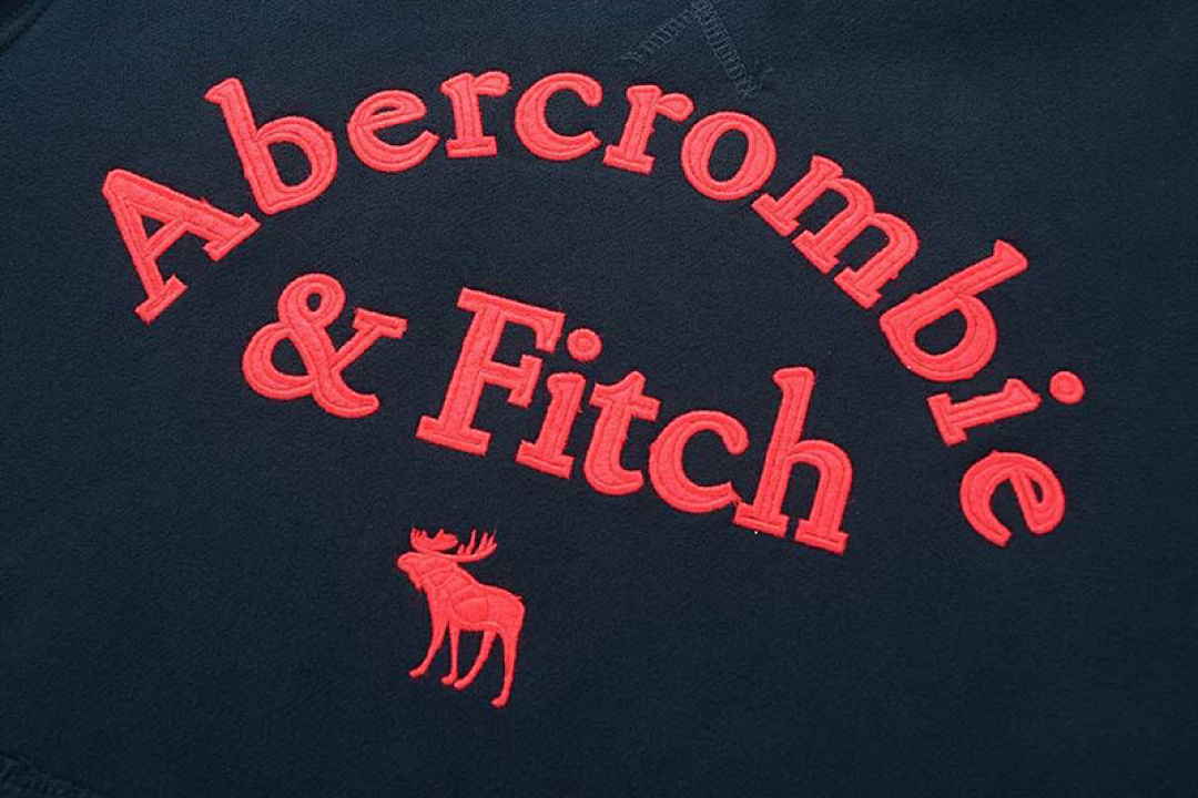 Abercrombie & Fitch Logo Popover Hoodie · A2830 — תמונה 29