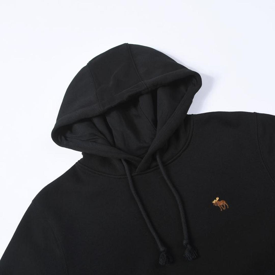 Abercrombie & Fitch Logo Popover Hoodie · A2830 — תמונה 27