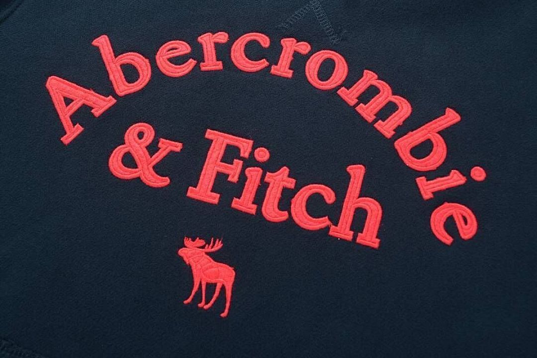 Abercrombie & Fitch Logo Popover Hoodie · A2830 — תמונה 19