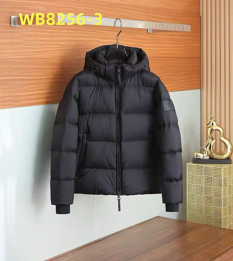 burberry WB8256