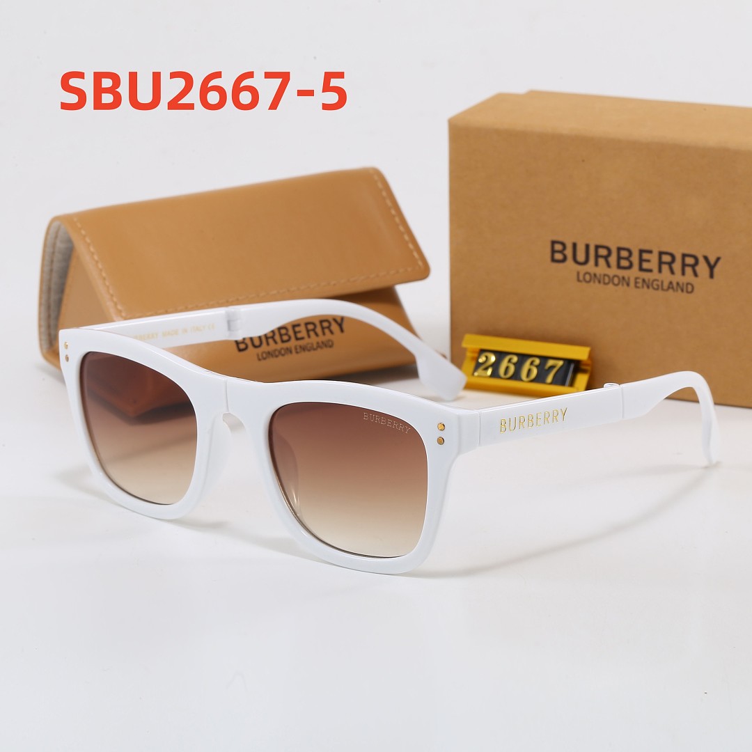 burberry SBU2667