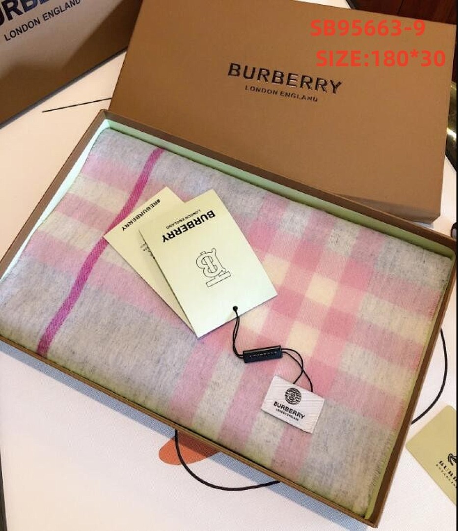 burberry SB95663