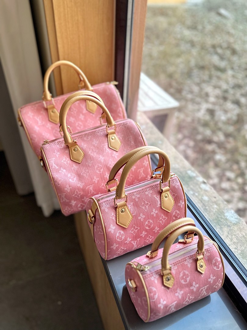 Louis Vuitton Speedy · ZT14071