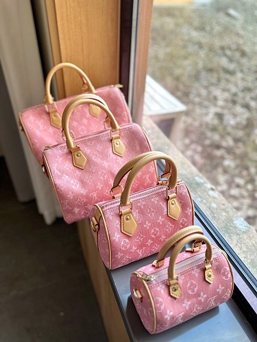 Louis Vuitton Speedy · ZT14071