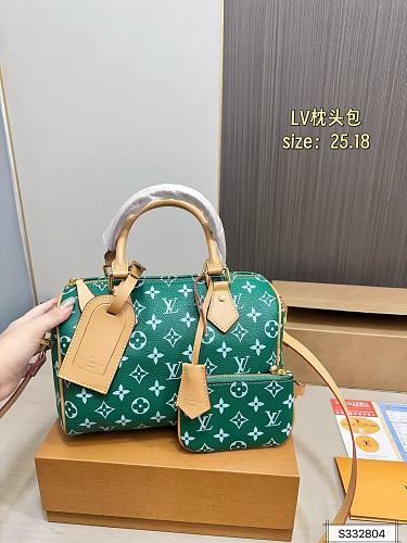 LV ZT12494